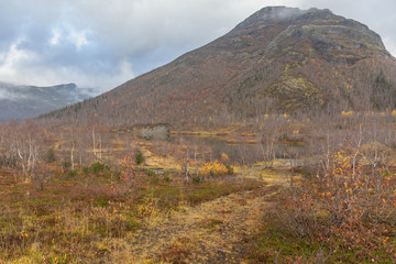 Kola Peninsula, Russia, tundra, colorful autumn landscape. selective focus