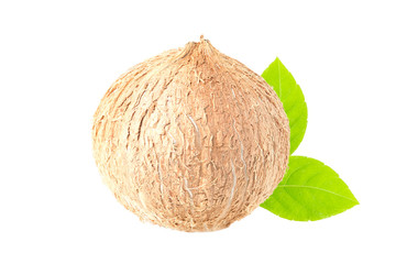 Coconut. Coconut isolated on white background. Full depth of field.