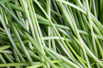 gros plan d'herbe verte