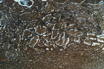 Pieces of ice float on waves, Ice plaques, sandy coast, stones, spring landscape, sunny weather, pacification
