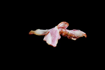 Bacon on a skewer on a black background