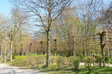 Brussels park, Belgium