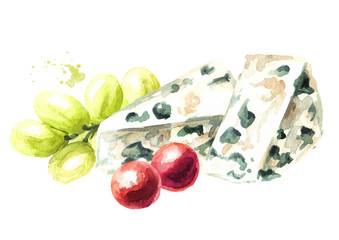 Blue mould Italian, French chees with grapes. Hand drawn watercolor illustration, isolated on white background