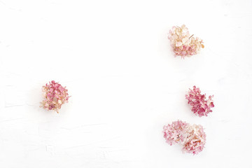 Dry pink floral branch on white background. Flat lay, top view minimal neutral flower background.