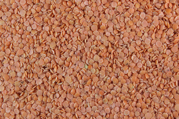 red lentil