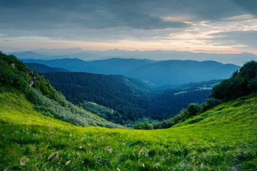 Obraz premium Lush green grass covered mountains meadow in summer time. Soft sunrise light glowing on a foreground. Landscape photography. Nature background
