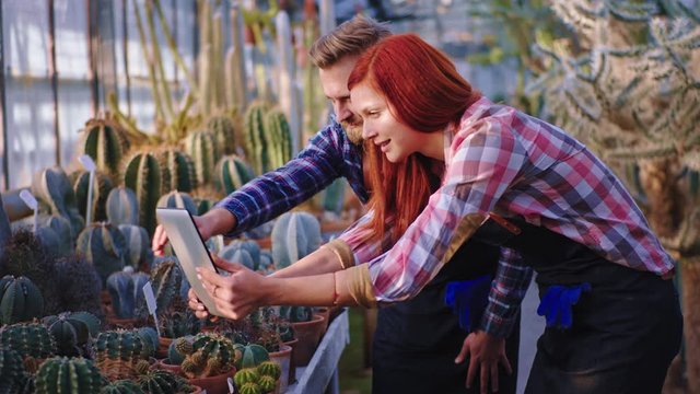 Great looking couple gardener have a their own business agricultural greenhouse they take some pictures using a tablet. 4k