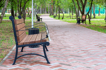 A row of park benches in the summer