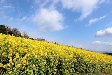 あわじ花さじき