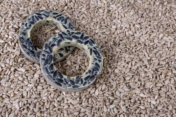 zwei Meisenringe, Sonnenblumenkerne, Vogelfutter