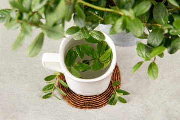 Lingonberry (Vaccinium vitis-idaea), partridgeberry, mountain cranberry or cowberry leaves used to...