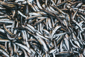 Lots of fresh fish with silver scales background