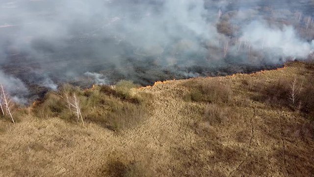 Dry grass burning in the field. Aerial view of smoking wild fire. Large smoke clouds and fire spread. Forest and tropical jungle deforestation. Grassland deforestation and climate change