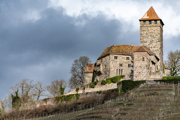 Fototapeta na wymiar Burg Lichtenberg and vineyard in Germany