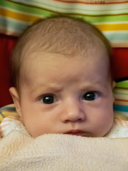 Little watchful baby