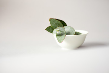 Natural eucalyptus leaves in a medical bowl, children's hand with a branch of therapeutic eucalyptus on a gray background with natural light