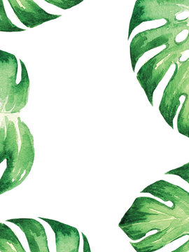 watercolor frame with tropical leaf monstera on white background for wedding, birthday, parfums