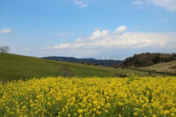 あわじ花さじき