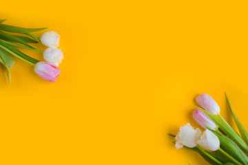 Pink tulips on the yellow background. Flat lay, top view. Valentines background.