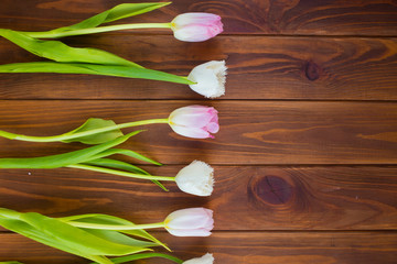 Pink tulips on the wooden background. Flat lay, top view. Valentines background.