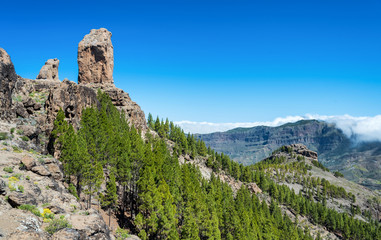 View for famous Roque Nublo