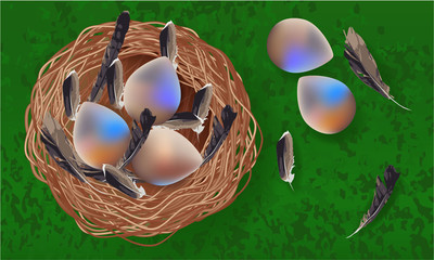 Easter banner with Easter Eggs, nest, feathers on a grass. Easter Greeting card, holiday