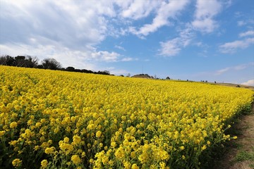 あわじ花さじき