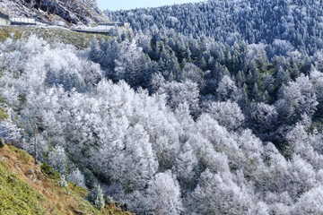 冬山　霧氷