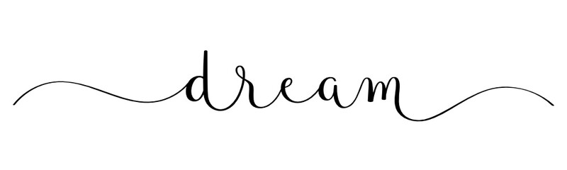 DREAM black vector brush calligraphy banner with swashes
