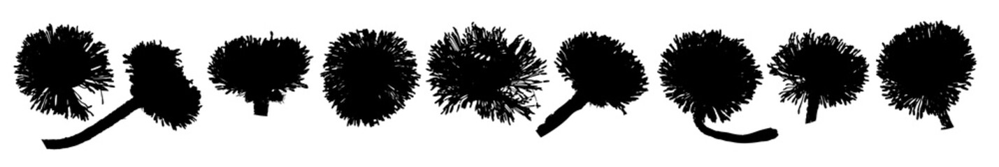 Set of silhouettes flowers isolated on white. Vector illustrations