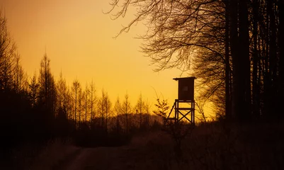 Muurstickers Photo of tower for hunting in the morning at sunrise © Vulp