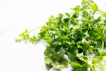 Bunches of fresh coriander leaves, Coriander It is also known as Chinese parsley , 