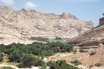 Oman Shuwaymiyyah