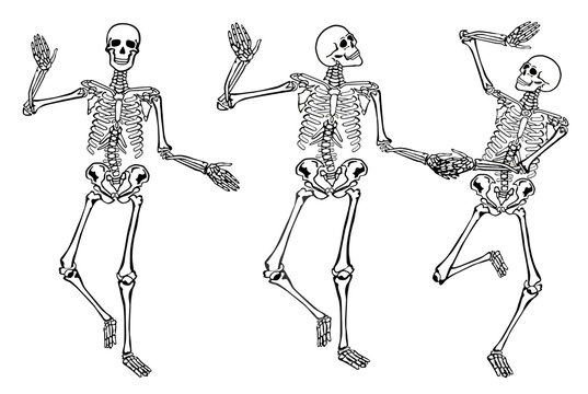 Lustige tanzende Skelette isoliert auf wei&szlig;em Hintergrund. Vektor-Illustration, Set