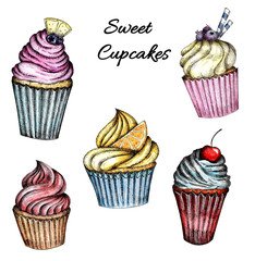 A collection of Colorful cupcakes with cream and berries. Watercolor hand drawing isolated on a white background.