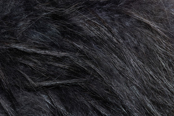 Fragment of natural fur with a long pile - painted raccoon