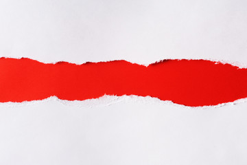 White paper with torn edges isolated with a bright red color paper background inside. Good paper...