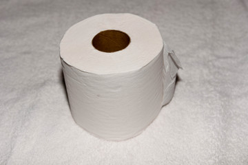 a single roll of toilet paper against a white background