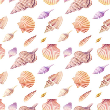 Seamless pattern seashells, isolated on white background. Watercolor hand drawn illustrations