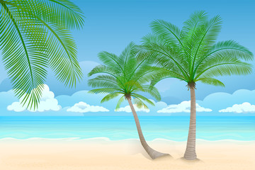 Obraz na płótnie Canvas Strand mit zwei Palmen