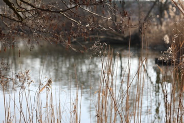 Staw  © marriaci_photo