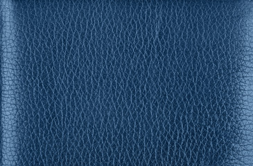 Background texture of blue natural leather grain