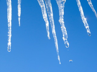 Melting icicles against the blue spring sky.