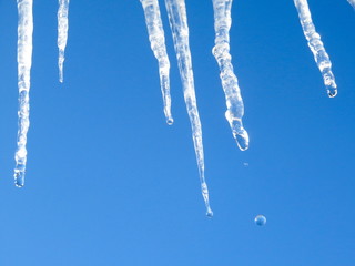 Melting icicles against the blue spring sky.