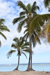 Fototapeta na wymiar La plage de l'Ermitage à la Réunion