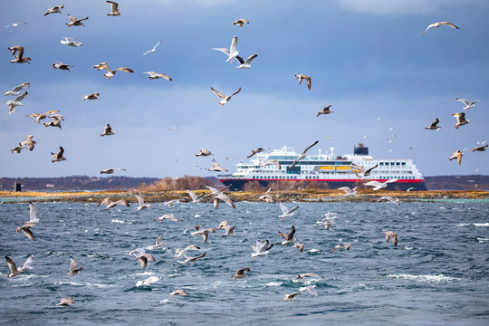 Seagulls sail in the wind and find small fish in upset sea - Ship Ms Trollfjord