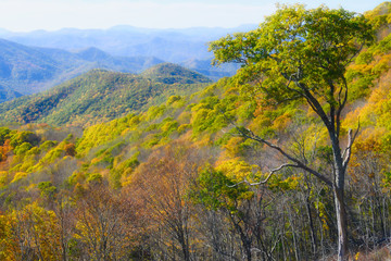 Autumn in the Appalachian Mountains Viewed Along the Blue Ridge Parkway