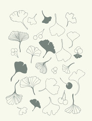 Healing leaves of ginkgo biloba tree with fruits, hand-drawn, geometric seamless pattern, isolated vector. 