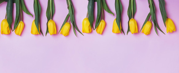 Yellow tulip flowers on pink background