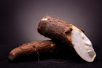 Two edible unprepared Cassava roots with bark still in place. Still life studio shot shrub against a dark grey background